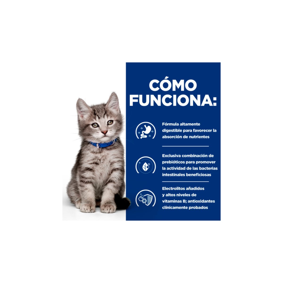 Hill's Prescription Diet i/d Kitten, Cuidado Digestivo, Croquetas para Gatito, 1.81 Kg