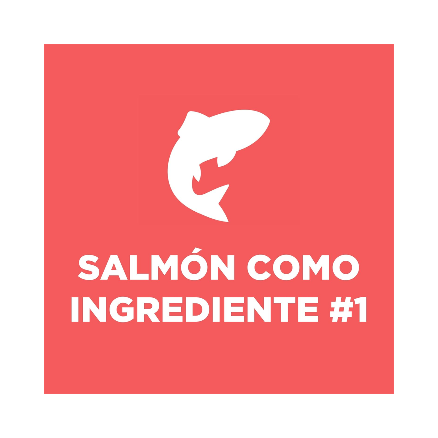 Hill's Science Diet Adult, alimento saludable perro adulto receta de salmón, 2.0 kg
