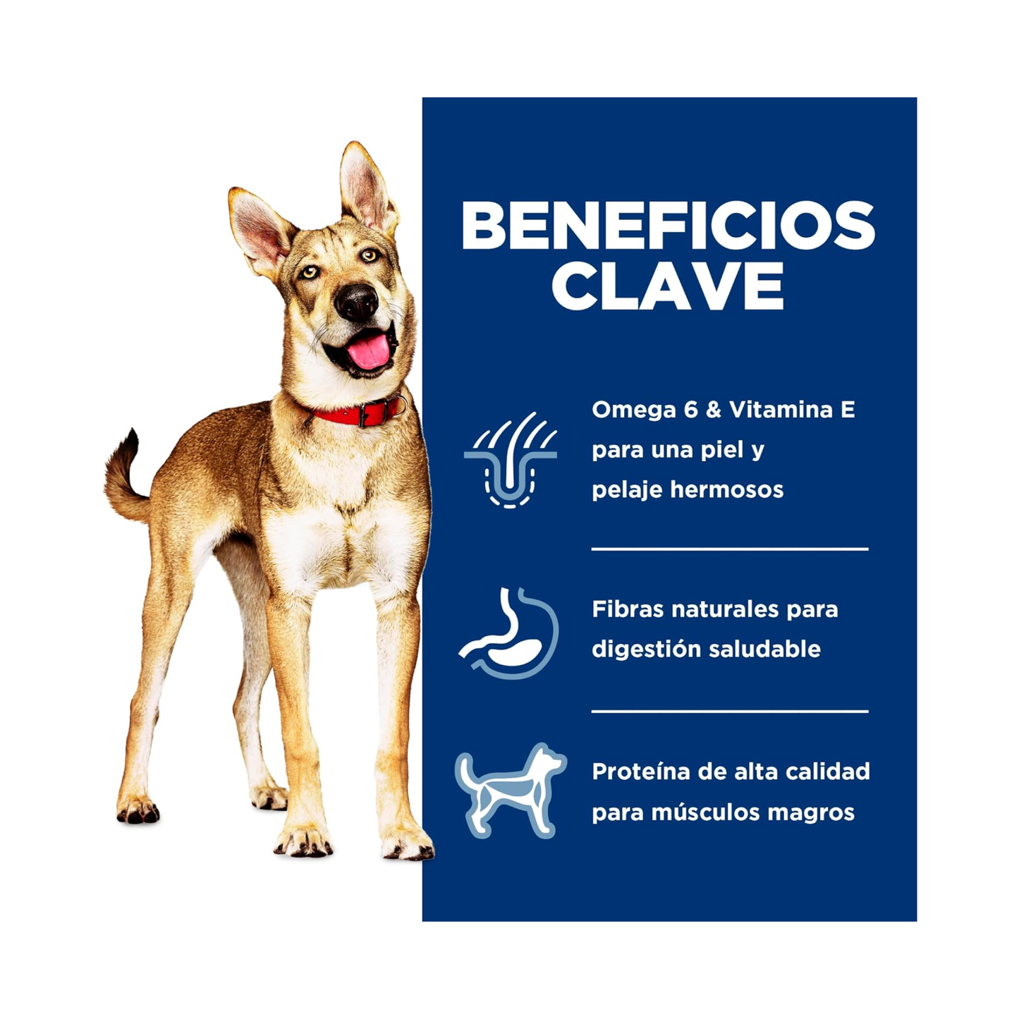 Hill's Science Diet Adult, alimento saludable perro adulto receta de salmón, 2.0 kg