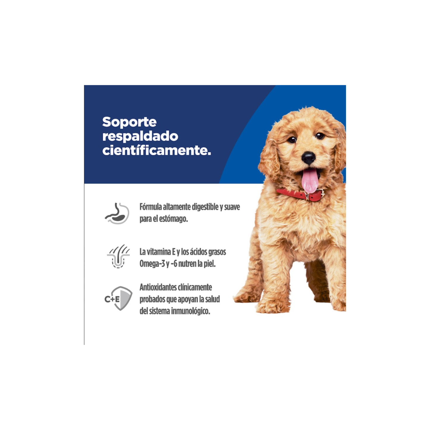 Hill´s Science Diet Sensitive Stomach and Skin Puppy 1.8 Kg