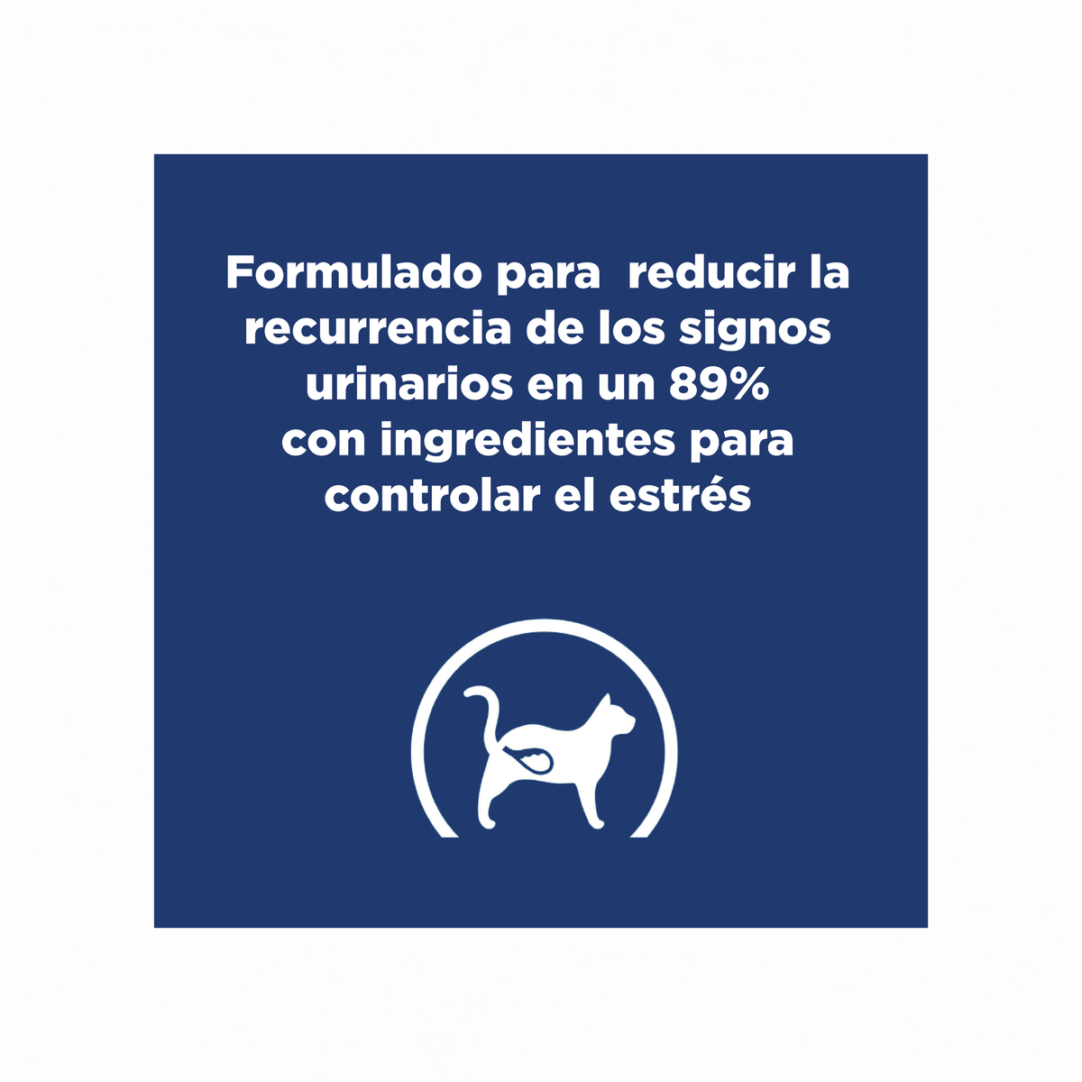 1 Pouch Hill´s Prescription Diet c/d Multicare Stress, alimento húmedo para gatos adultos, cuidado urinario, 79g