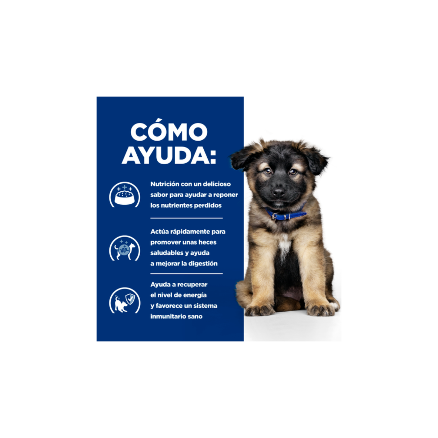 Hill´s Prescription Diet i/d Puppy Cuidado Digestivo Perro 3.8 Kg
