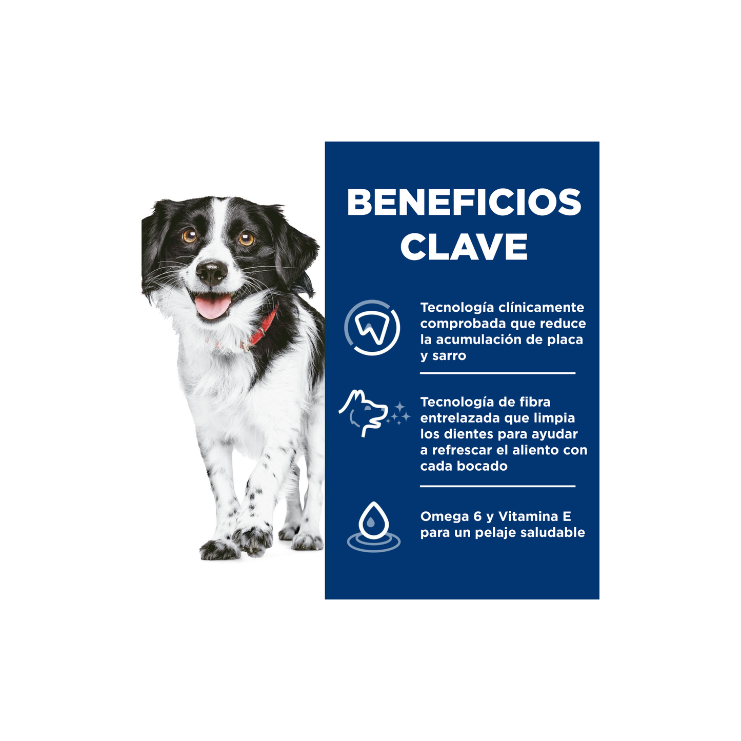 Hill's Science Diet Oral Care, Alimento para Cuidado Dental para perros pequeños y mini 1.814 KG