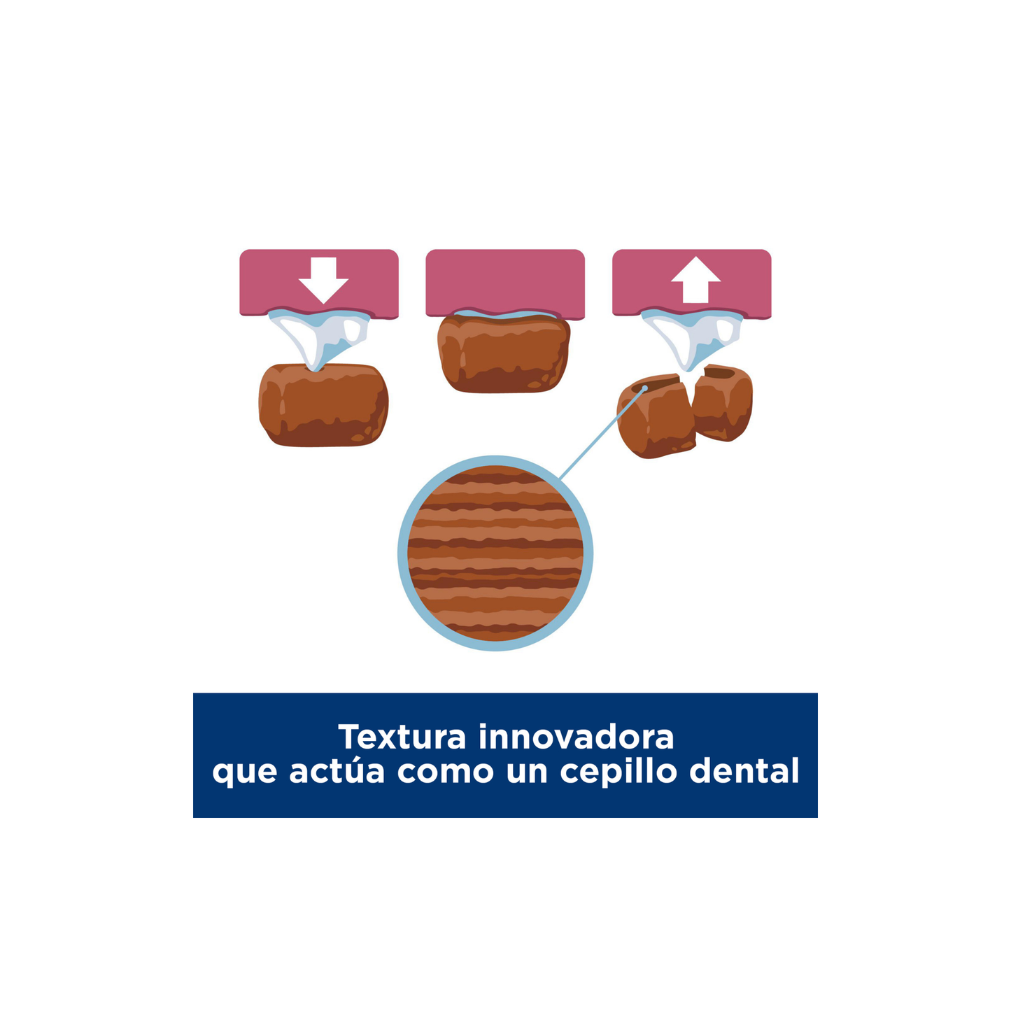 Hill's Science Diet Oral Care, Alimento para Cuidado Dental para perros pequeños y mini 1.814 KG