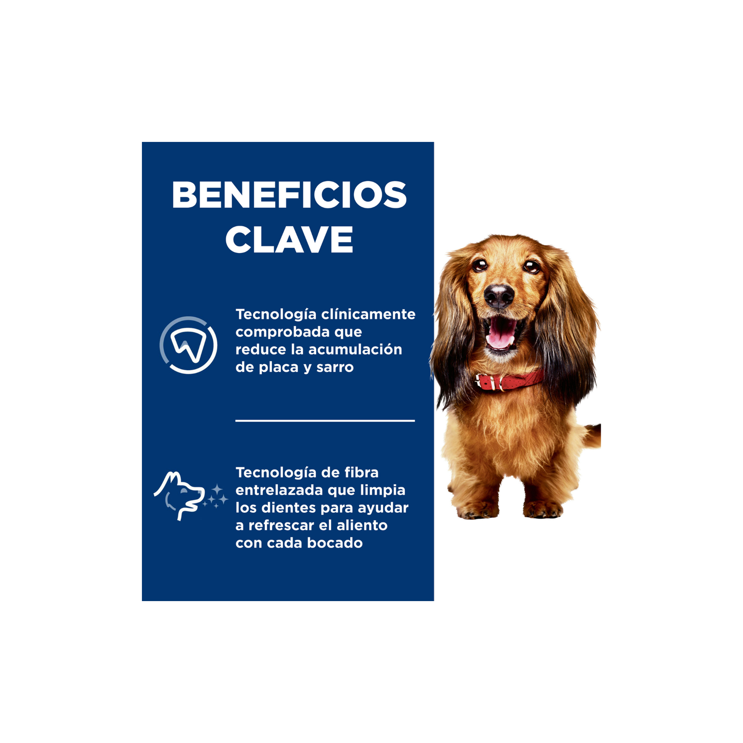 Hill's Science Diet Oral Care, Alimento para Cuidado Dental para Perro Adulto 1.814 KG