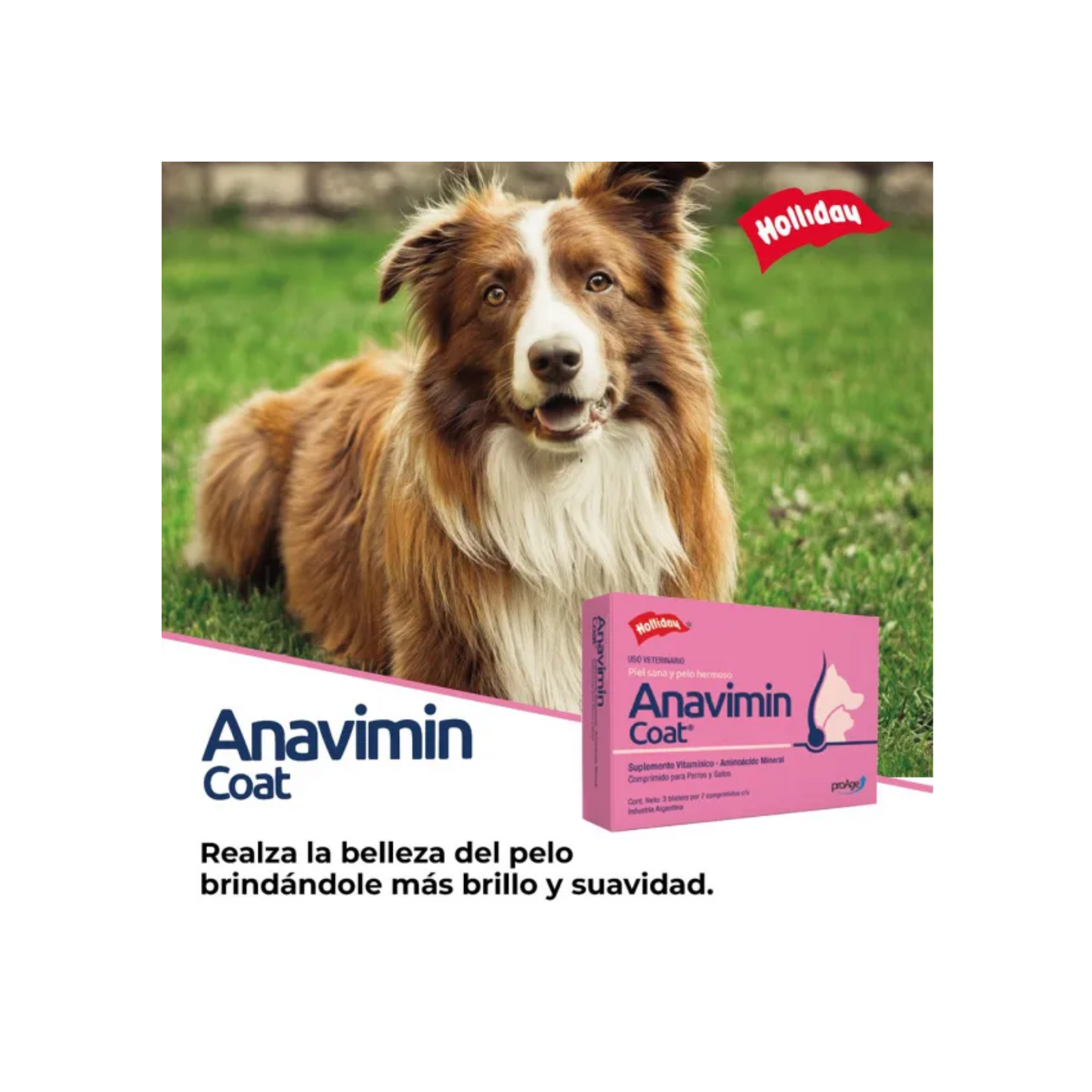 Holliday Anavimin Coat 3 Blister con 7 Comprimidos Holliday