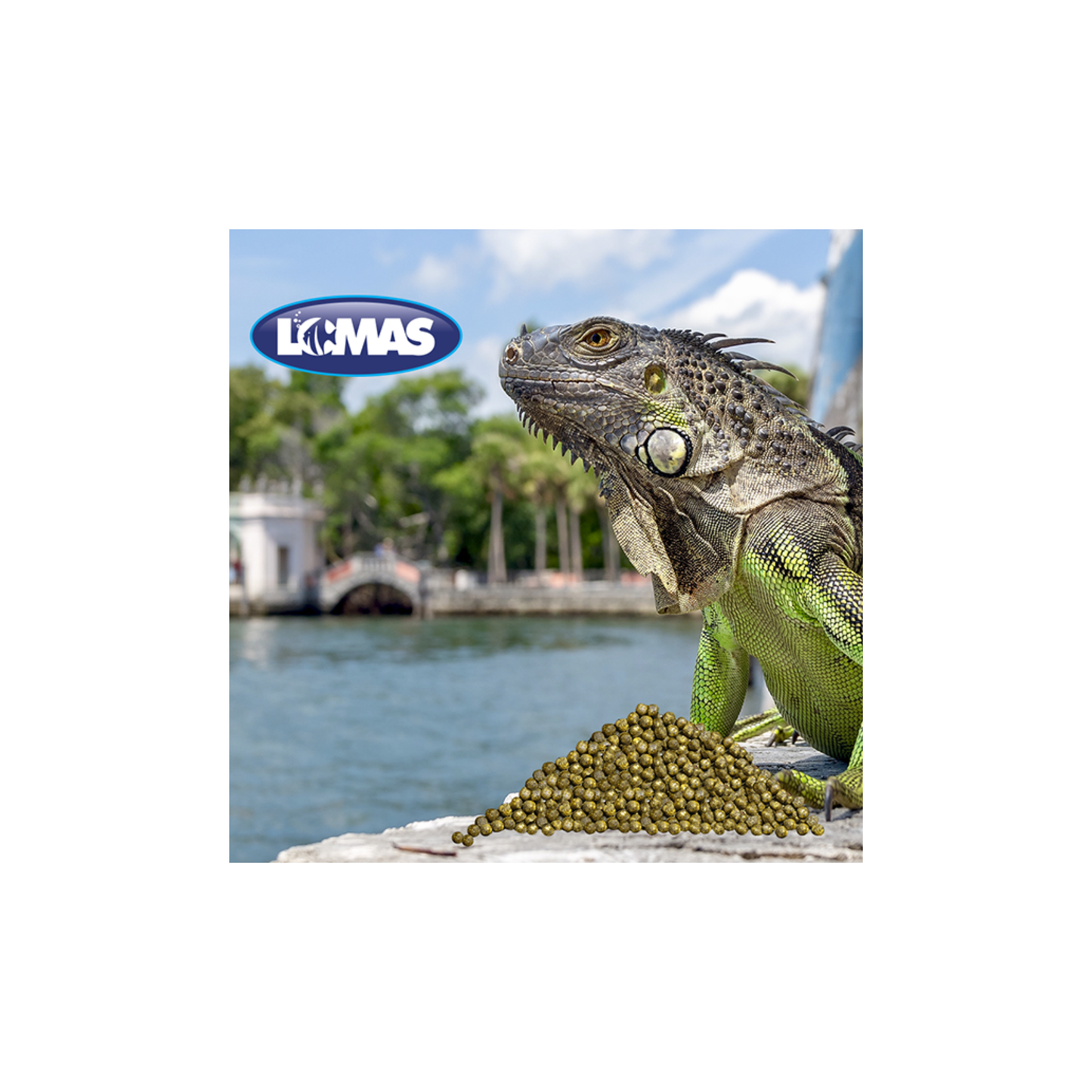 Reptilia Alimento para Iguana Juvenil Sabor Plátano 350 g