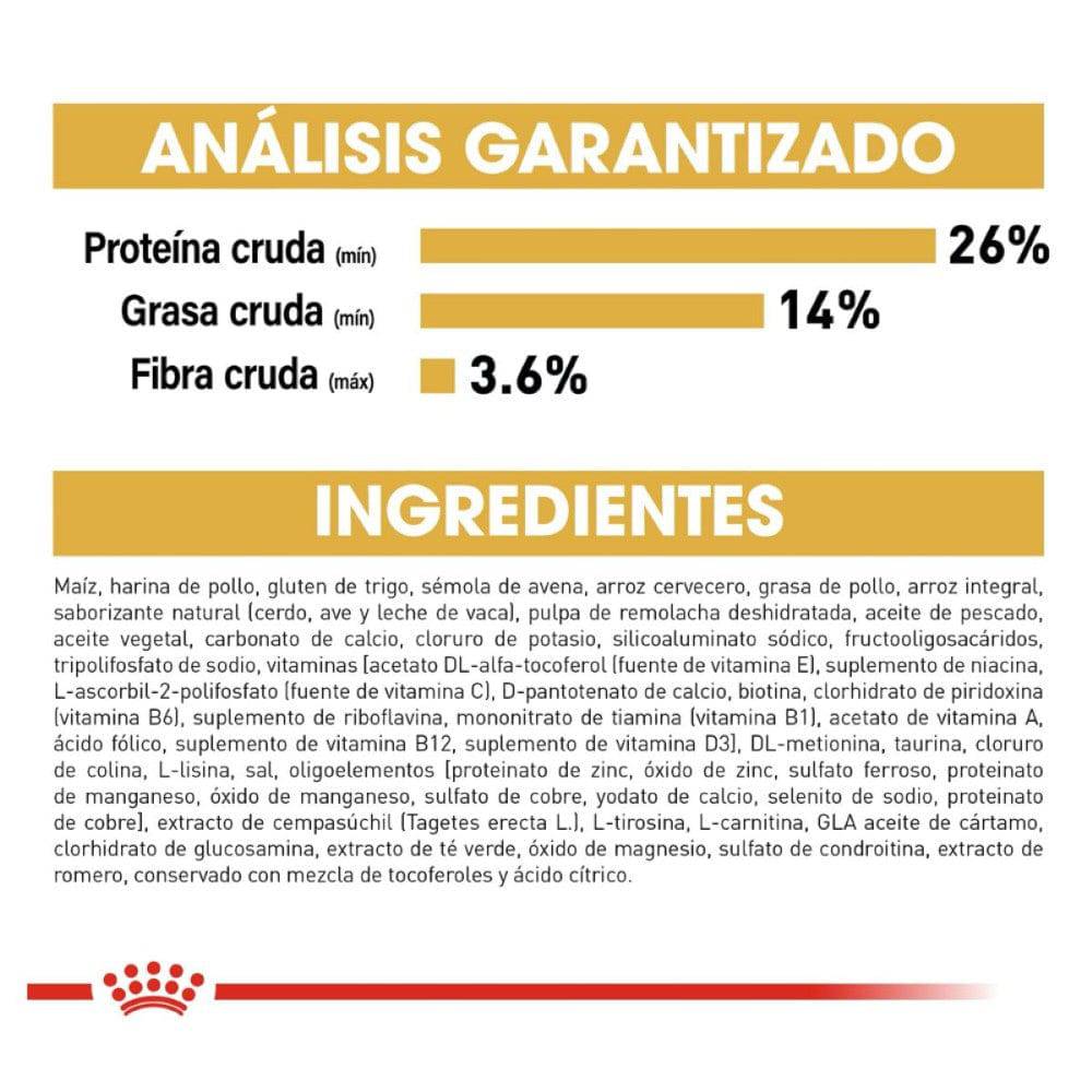 Croquetas Royal Canin para Chihuahua adulto