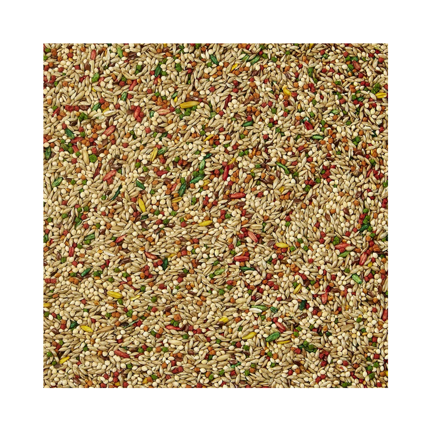 Kaytee Forti Diet Alimento para Canario y Pinzón 907 GR