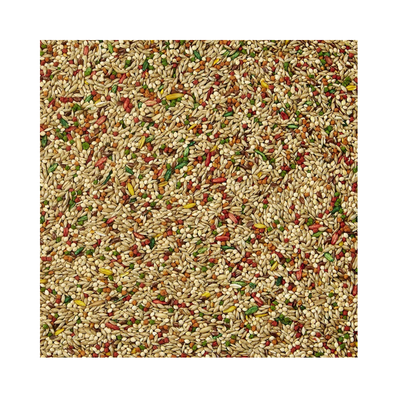 Kaytee Forti Diet Alimento para Canario y Pinzón 907 GR