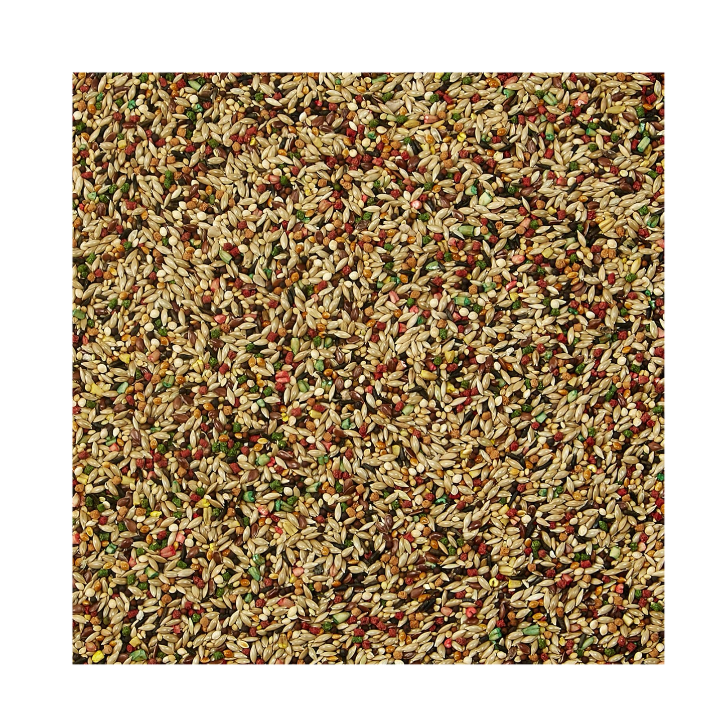 Kaytee Forti Diet Prohealth Alimento para Canario y Pinzón 907 g