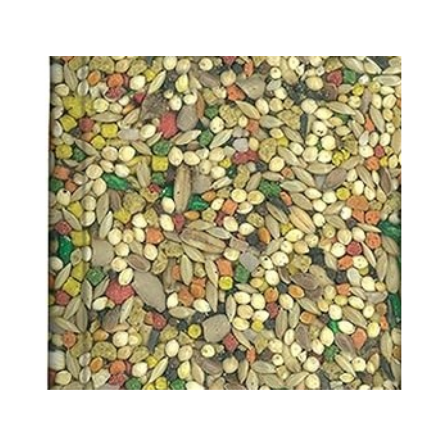 Kaytee Forti Diet Alimento para Perico Australiano 907 GR