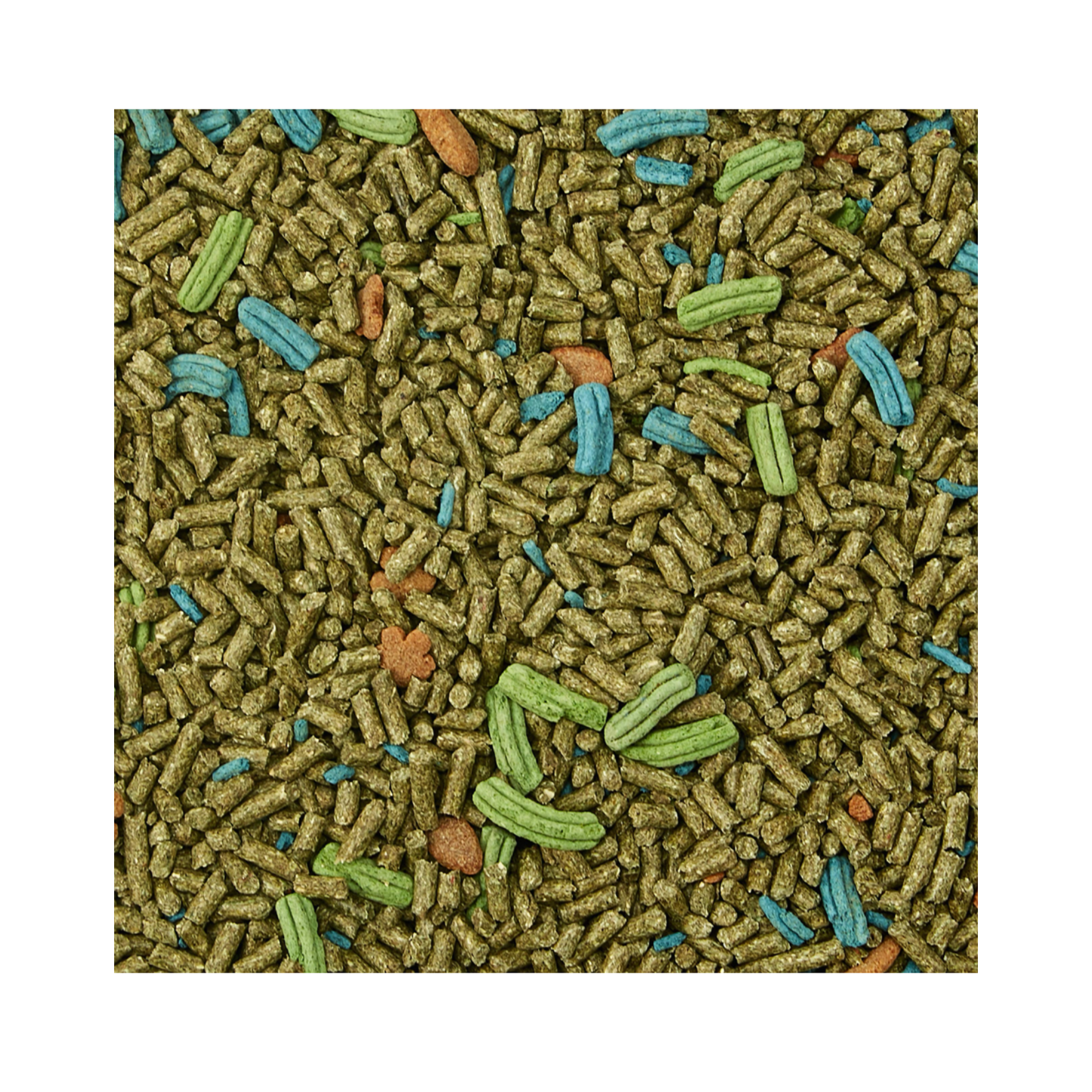 Kaytee Forti Diet Prohealth Alimento para Conejo Adulto 2.26 KG