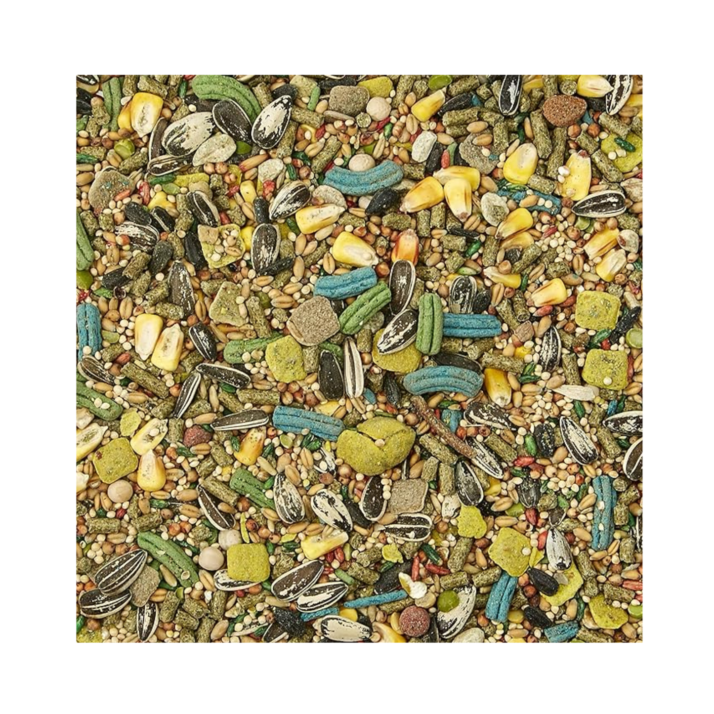 Kaytee Forti Diet Prohealth Alimento para Hamster y Jerbo 1.36 KG