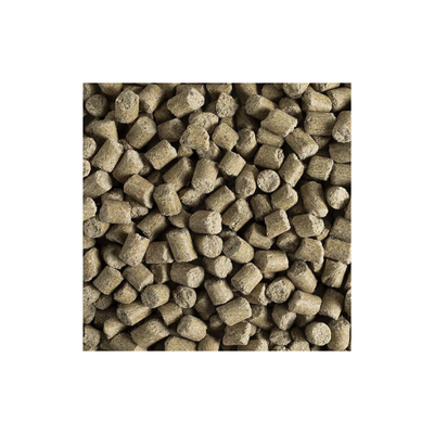 Kaytee Forti Diet Prohealth Alimento para Rata y Ratón 3 LB