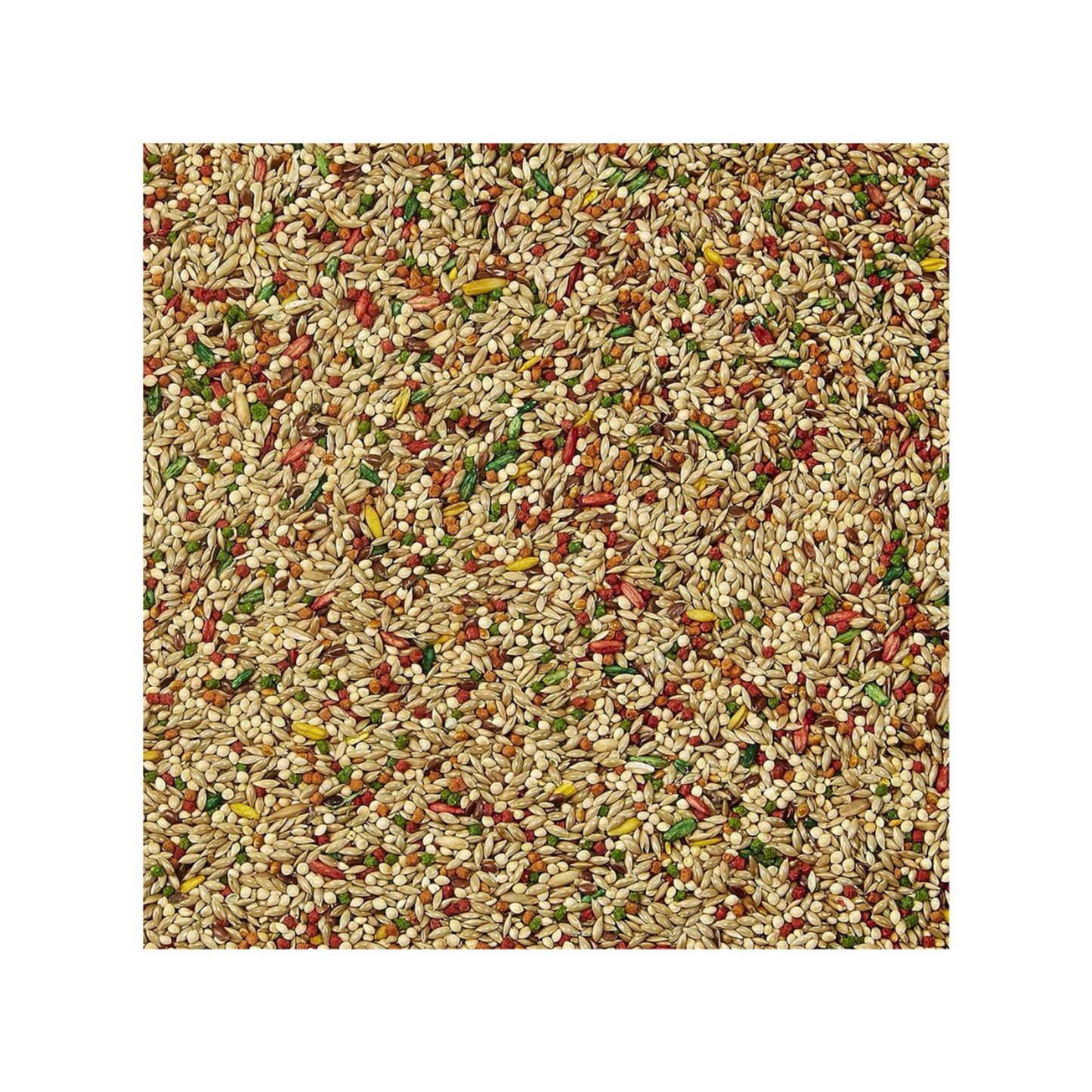 Kaytee Forti Diet Prohealth Plumas Alimento para Periquito Australiano 2LB