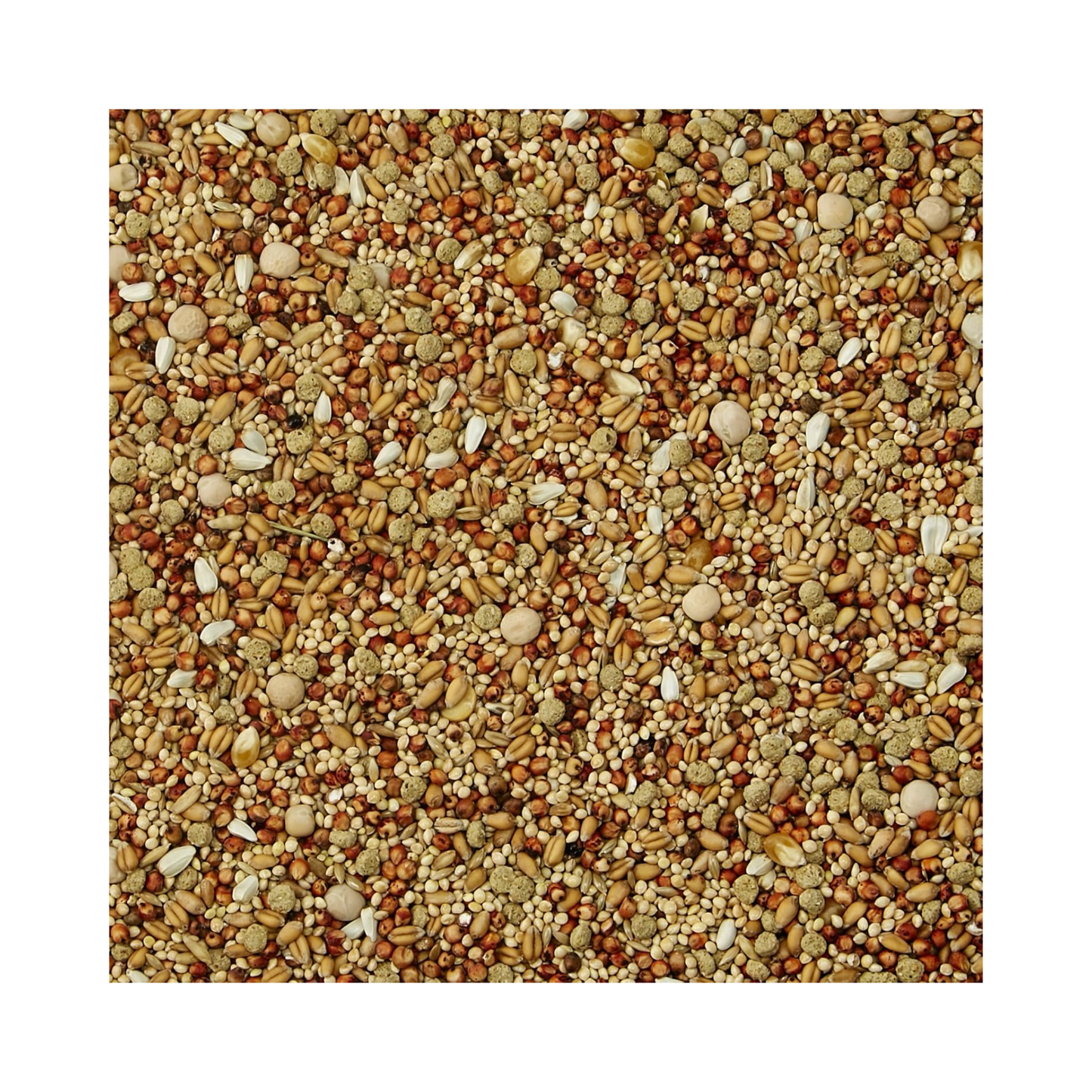 Kaytee Supreme Alimento para Palomas 2.26 KG