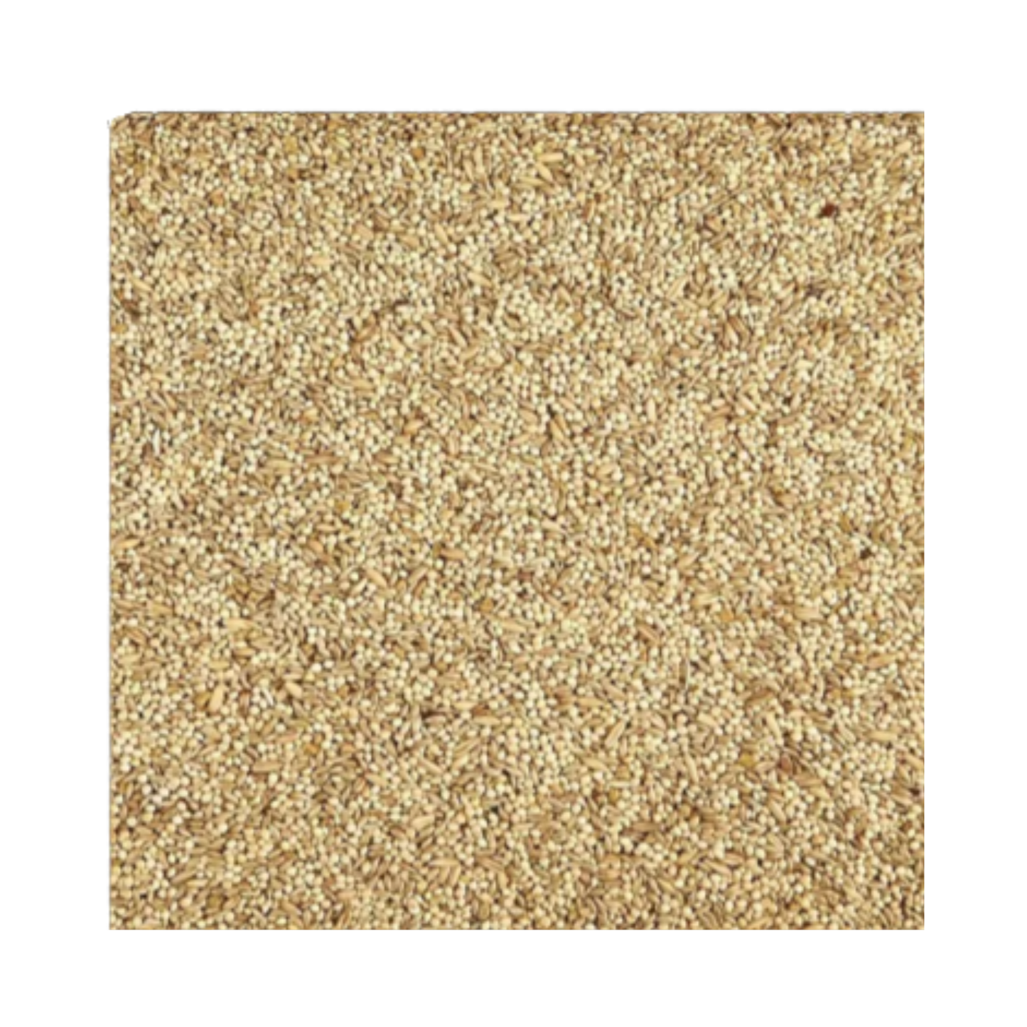 Kaytee Supreme Alimento para Perico Australiano 2.27 kg