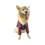 Kokoli Sueter Poncho Color Vino Talla XL