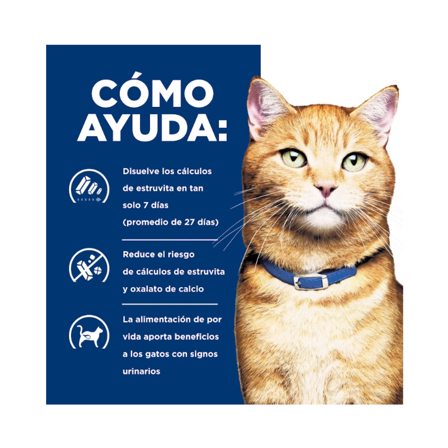 24 Latas Hill's Prescription Diet Feline c/d Multicare, Cuidado Urinario, para Gato, 156 g
