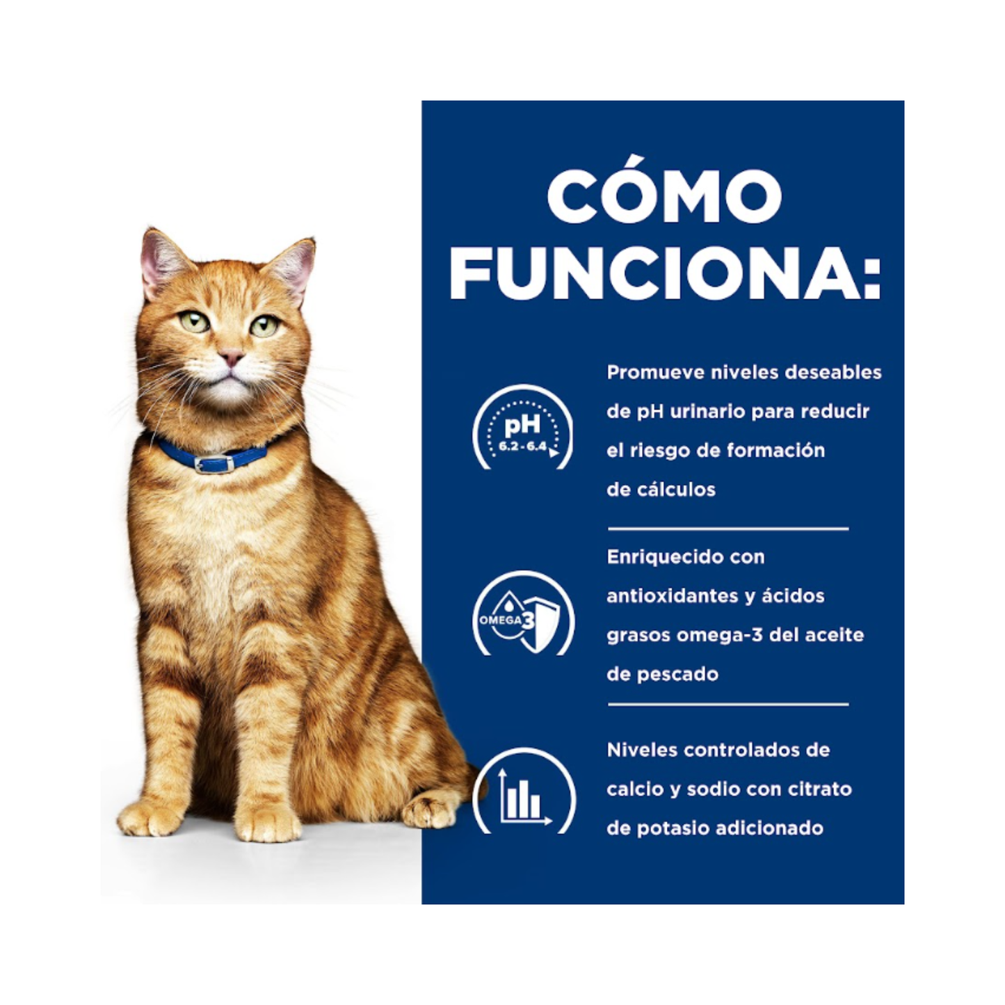 24 Latas Hill's Prescription Diet Feline c/d Multicare, Cuidado Urinario, para Gato, 156 g