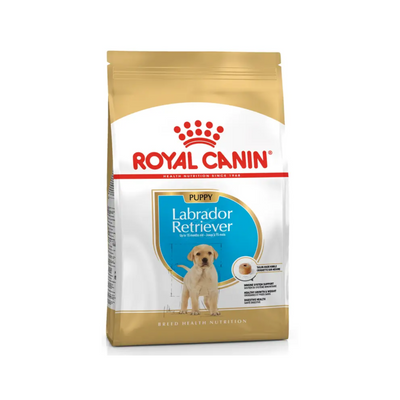 Labrador retriever puppy Royal Canin