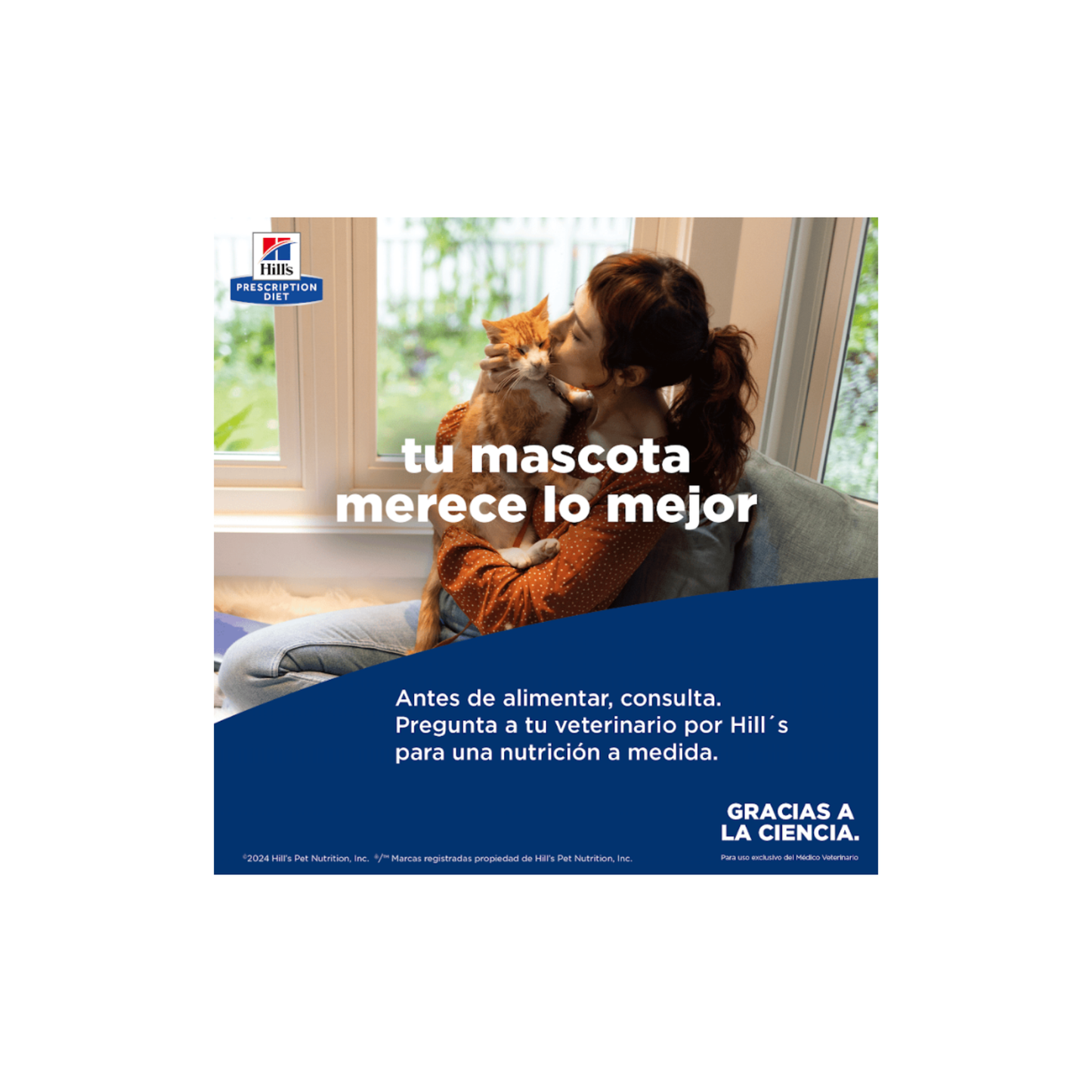 1 Lata Hill's Prescription Diet Feline k/d, Cuidado Renal, para Gato, 156 g