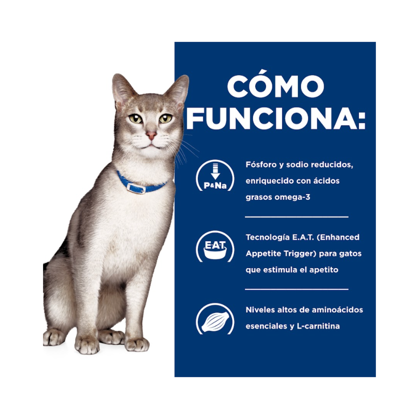 1 Lata Hill's Prescription Diet Feline k/d, Cuidado Renal, para Gato, 156 g