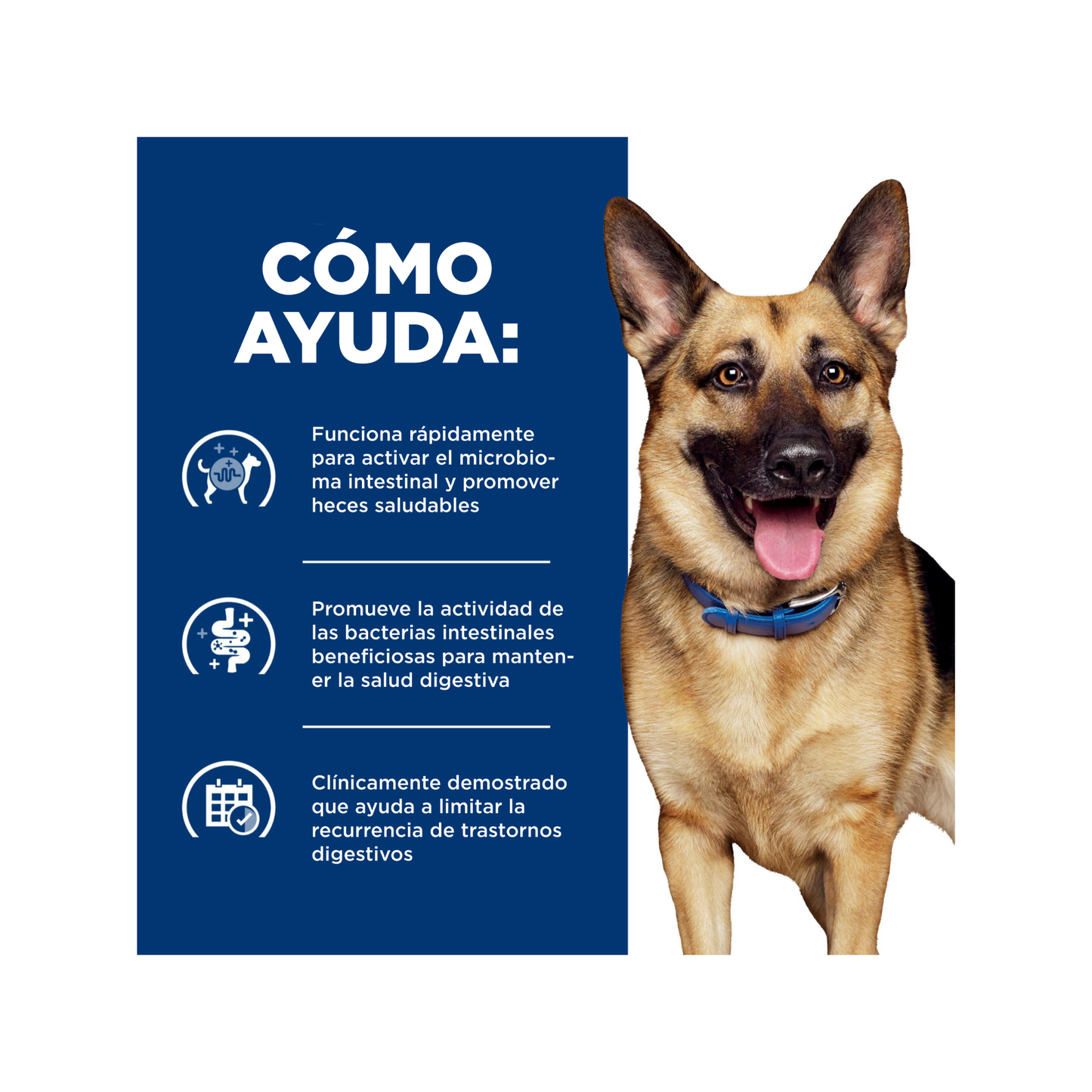 1 Lata Hill's Prescription Diet Alimento Húmedo para Perro Gastrointestinal Biome Digestive Fiber Care Chicken and Vegetable Stew 354 g