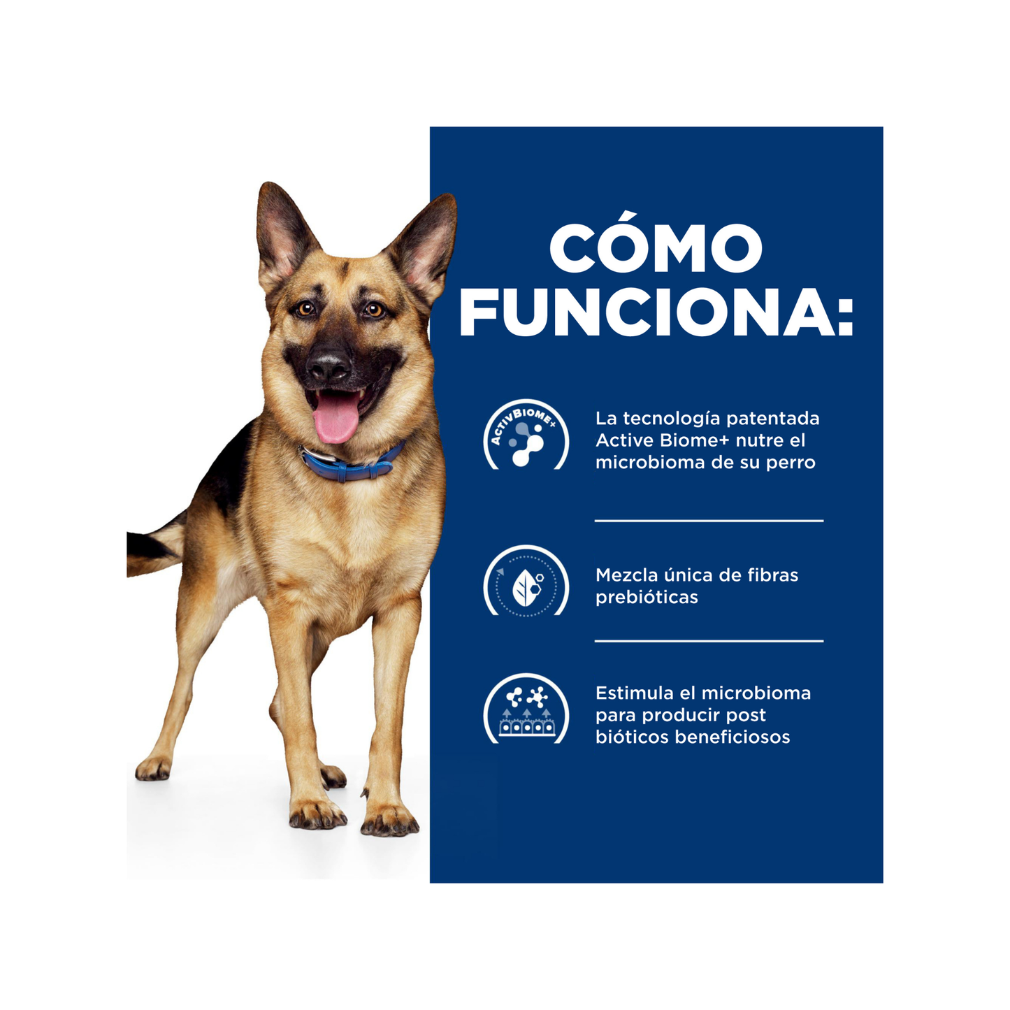 1 Lata Hill's Prescription Diet Alimento Húmedo para Perro Gastrointestinal Biome Digestive Fiber Care Chicken and Vegetable Stew 354 g