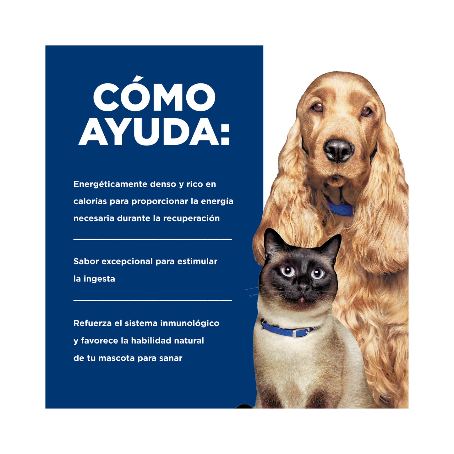 Lata Hill's Prescription Diet a/d, Recuperación, con Pollo para Perro y Gato, 156 g