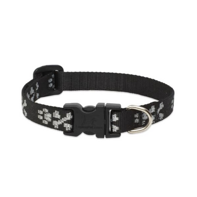 Lupine Pet Collar Color Negro con Broche para Perro Talla Chico 20 a 30 cm