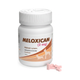 Meloxicam 2 mg Alpha Chem - Antiinflamatorio Veterinario (1 Tableta)
