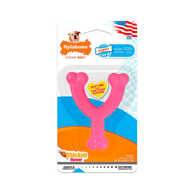 Nylabone Juguete Masticable Chico Color Rosa para Perro Cachorro