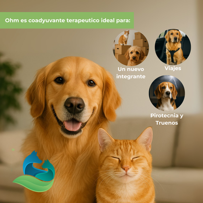 Holliday OHM Biomodulador de Ansiedad para Perros y Gatos 21 Comprimidos