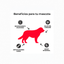 ACP Opticare Pet Essentials Perro Adulto Raza Mediana y Grande 15 Kg