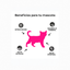 ACP Opticare Pet Essentials Kitten 1 Kg
