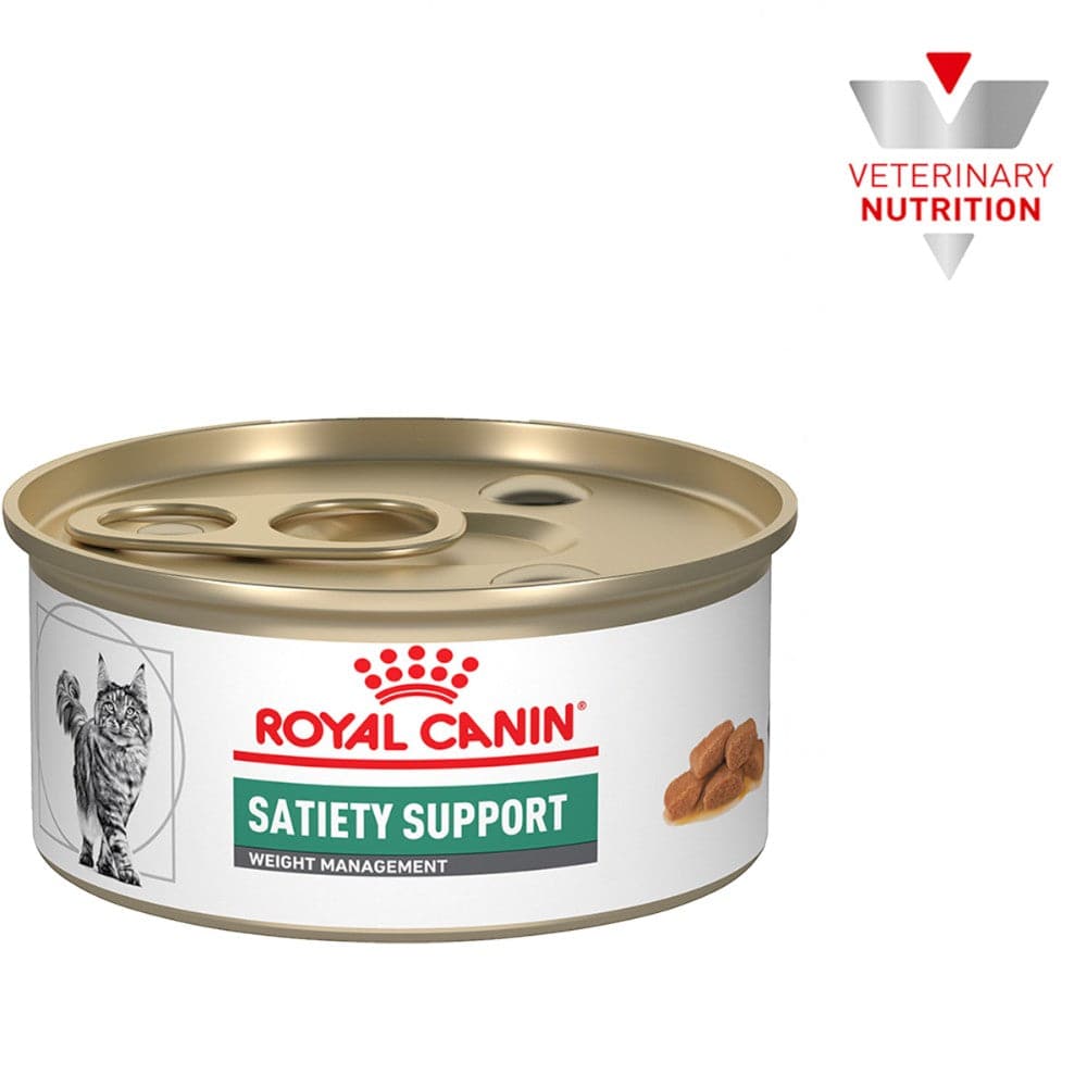 Paté para Gato 