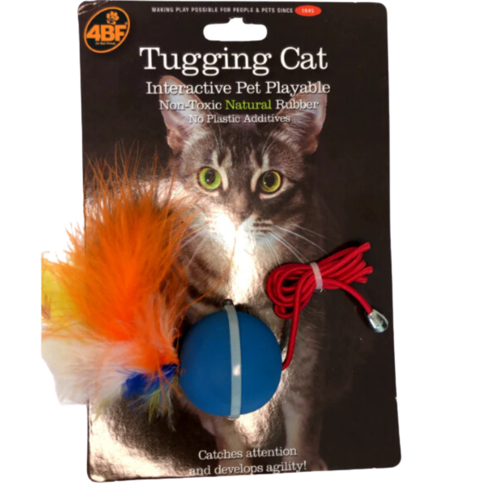 Pelota Crazy Cat Azul Med