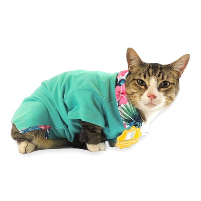 Playera Gato 