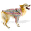 Poncho para Perro 