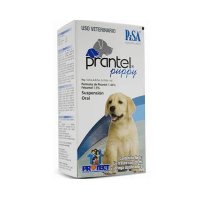 Prantel Puppy Suspensión