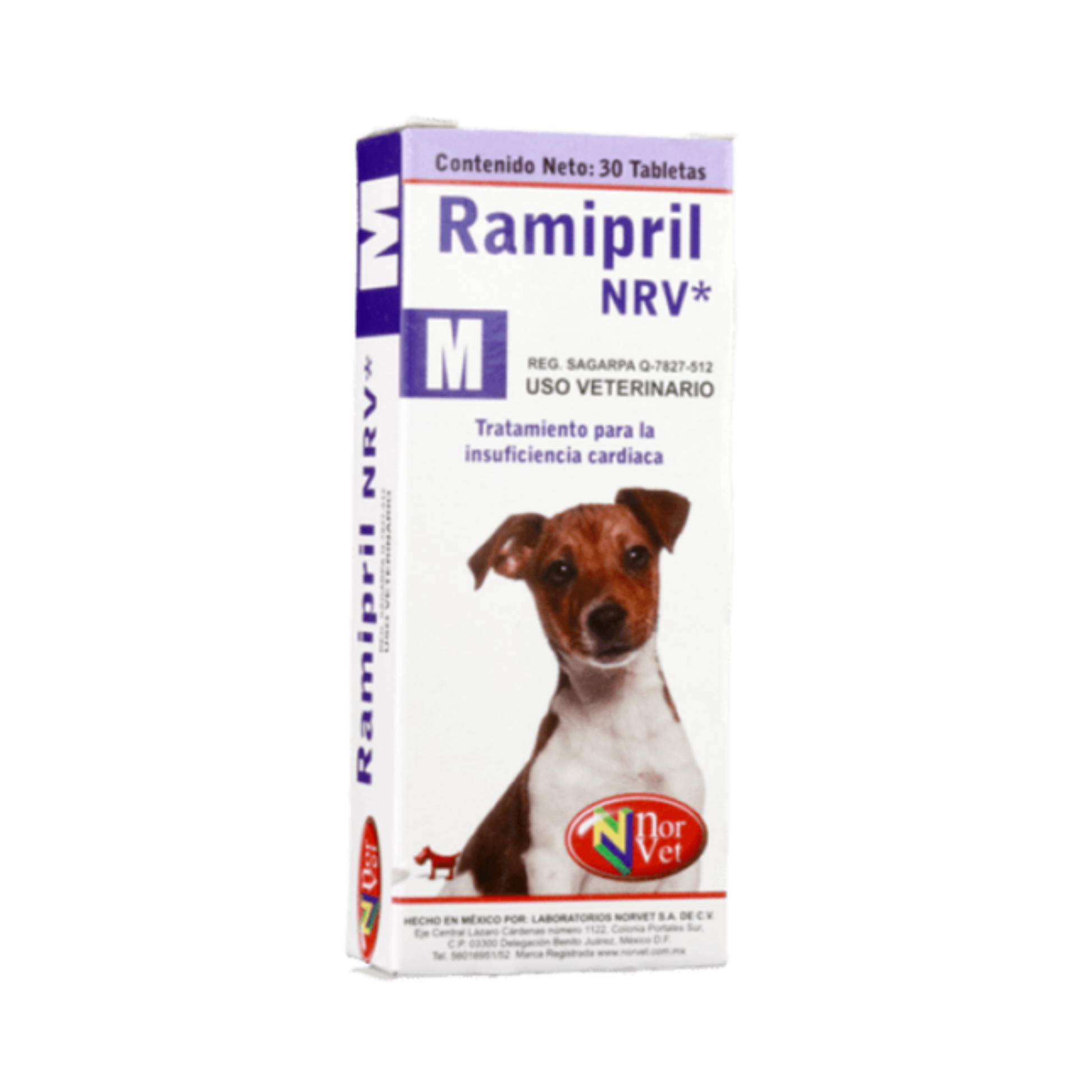 Ramipril perros