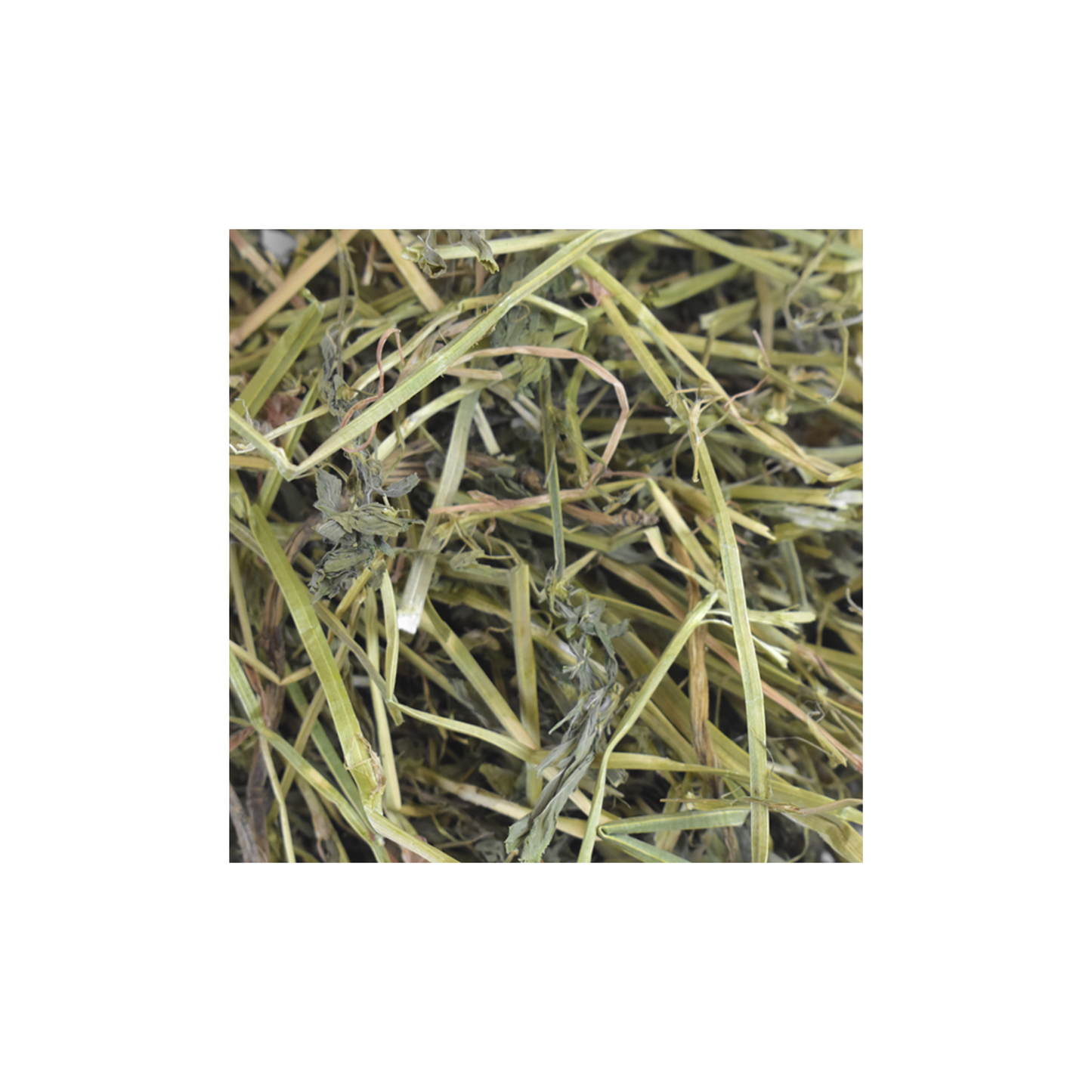 RedKite Heno de Alfalfa para Herbivoros 500 g