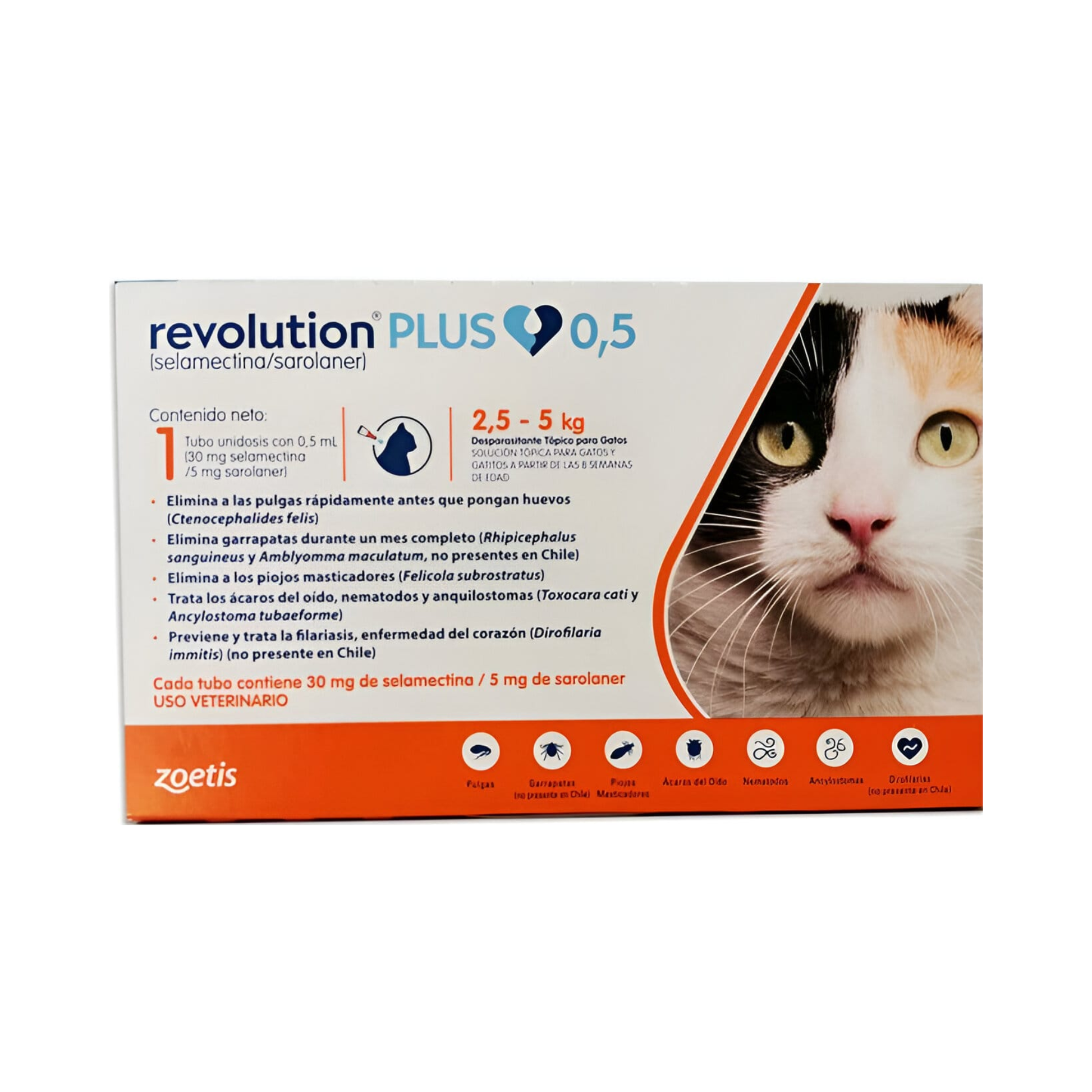 Revolution Plus Gatos