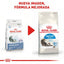 Royal Canin para Gatos