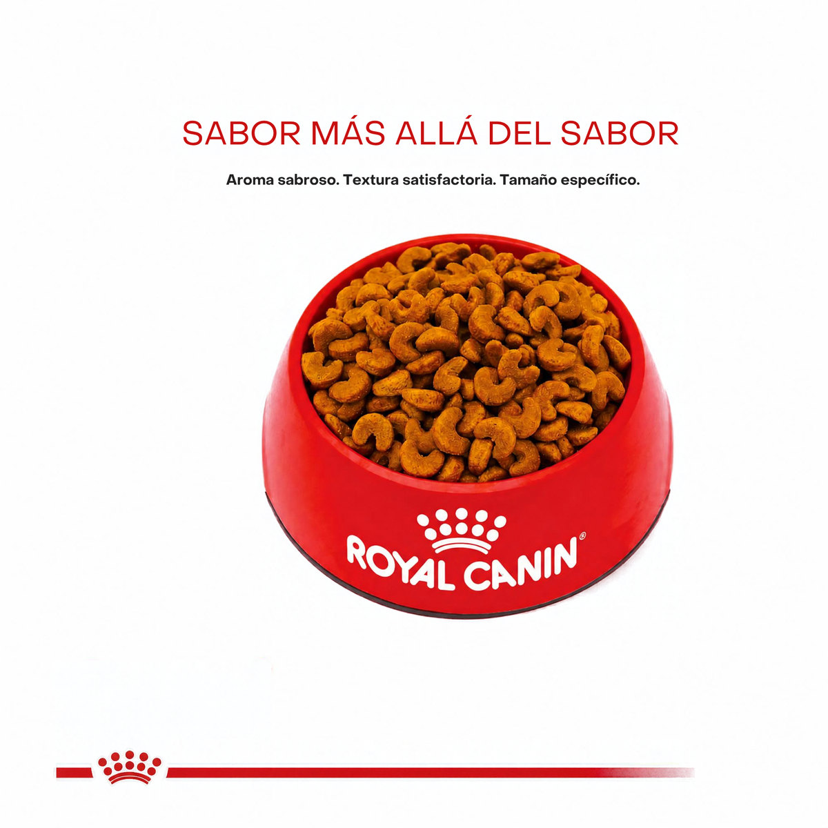 Royal Canin French Bulldog Puppy 4.77 Kg