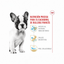Royal Canin French Bulldog Puppy 4.77 Kg