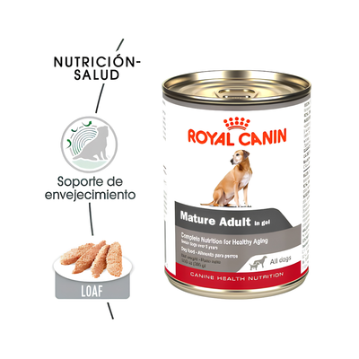 Royal Canin Lata Alimento de Perro Senior 12 Latas de 385 gr