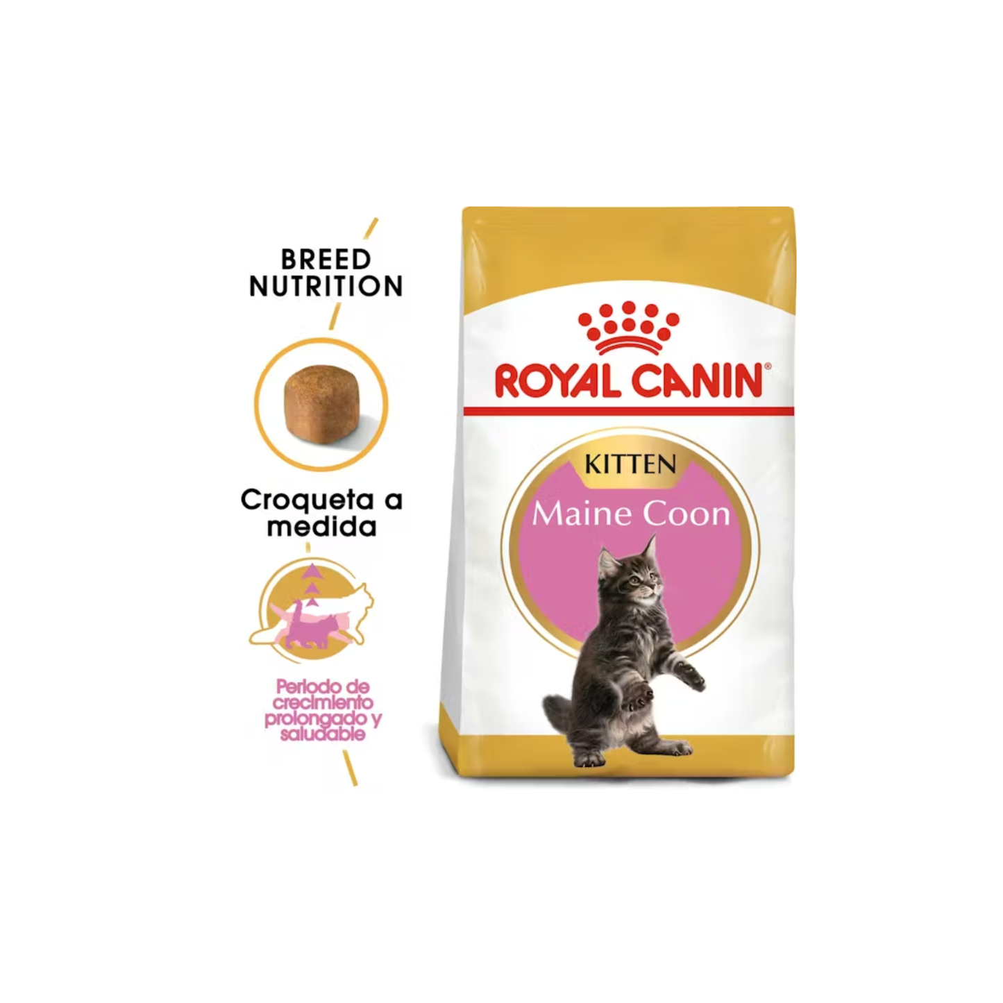 Royal Canin Maine Coon Kitten 1.37 kg